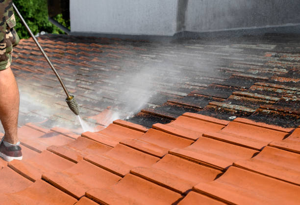 Best Commercial Pressure Washing  in Laredo, TX