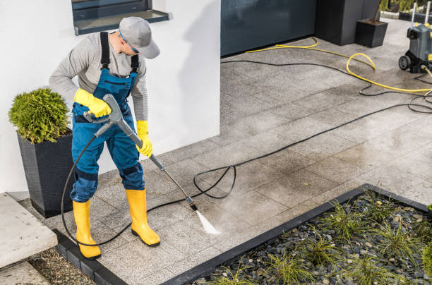 Best Roof Pressure Washing  in Laredo, TX