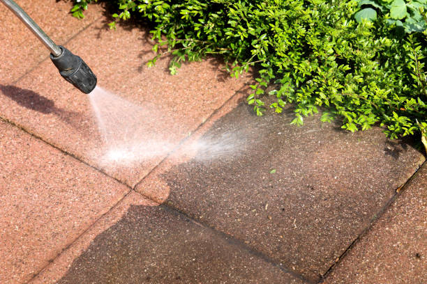 Best Exterior Home Cleaning  in Laredo, TX